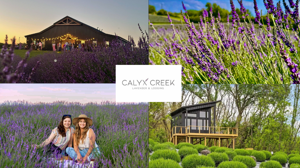 Calyx Creek Lavender & Lodging